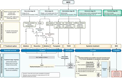 BCLC strategy for prognosis prediction and.